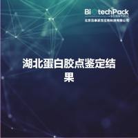 湖北蛋白胶点鉴定结果