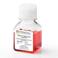 STEMCELL Technologies 04535 MethoCult™ H4535 Enriched Without EPO/MethoCult™ H4535 Enriched不含EPO
