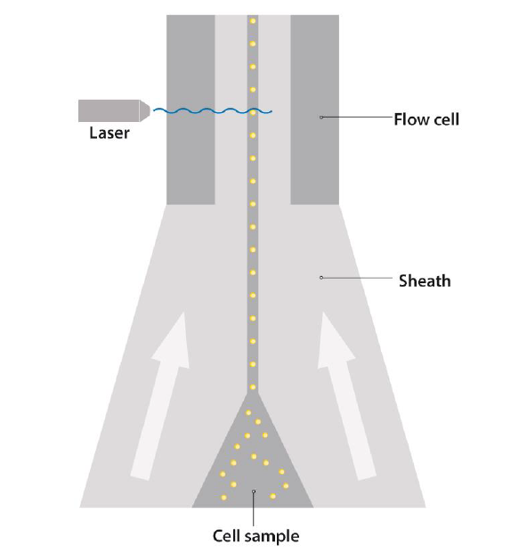流式小白系列一：知己知彼篇