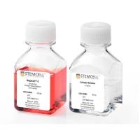 STEMCELL Technologies 04974 MegaCult™-C Collagen and Medium with Lipids/含脂类的巨核细胞CFU无血清检测试剂盒
