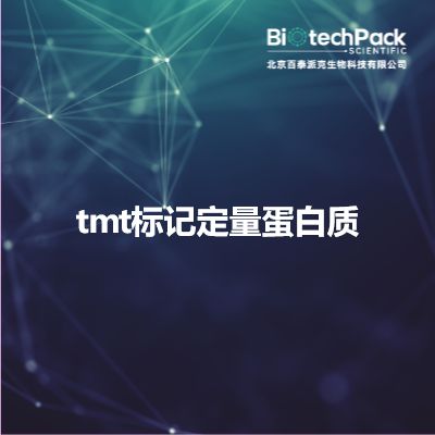 tmt标记定量蛋白质