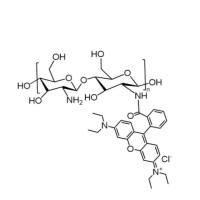 RB-Chitosan壳聚糖-红色罗丹明B