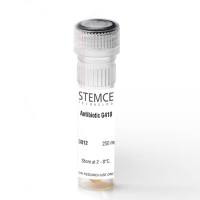 STEMCELL Technologies03812G418/新霉素