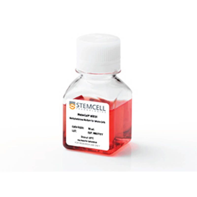 STEMCELL Technologies03231MethoCult™ M3231/小鼠造血CFU检测基础培养基