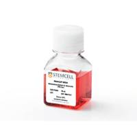 STEMCELL Technologies 03334 MethoCult™ M3334/含EPO不含其他细胞因子的小鼠甲基纤维素半固体培养基