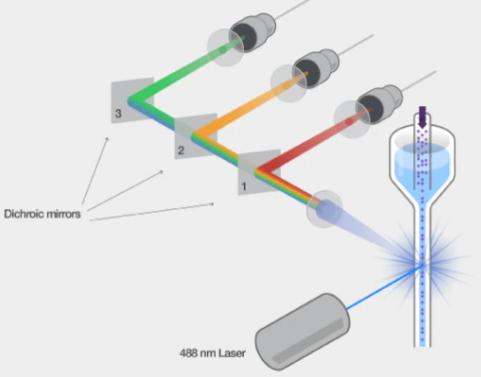 流式小白系列一：知己知彼篇