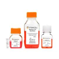 STEMCELL Technologies05240 STEMdiff™ Mesenchymal Progenitor Kit/STEMdiff™ 间充质分化试剂盒