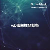 wb蛋白样品制备