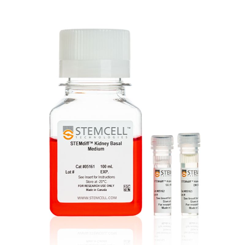 STEMCELL Technologies05160STEMdiff™ Kidney Organoid Kit/STEMdiff™肾类器官生成试剂盒