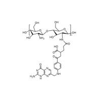 维生素B9偶联壳聚糖 Chitosan-Folate