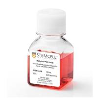 STEMCELL Technologies 04436 MethoCult™ SF H4436