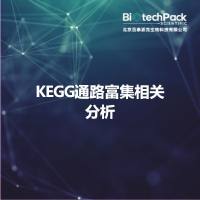 KEGG通路富集相关分析