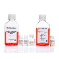 STEMCELL Technologies05010 STEMdiff™ Cardiomyocyte Differentiation Kit/STEMdiff™心肌细胞分化试剂盒