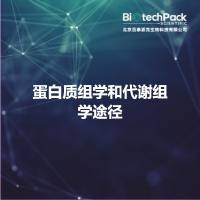 蛋白质组学和代谢组学途径