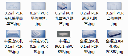 BUNSEN本生代理VIOX Scientific pcr耗