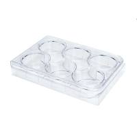 STEMCELL Technologies27147 Non Tissue Culture-Treated 6-well Plates/未经组织培养处理的6孔板