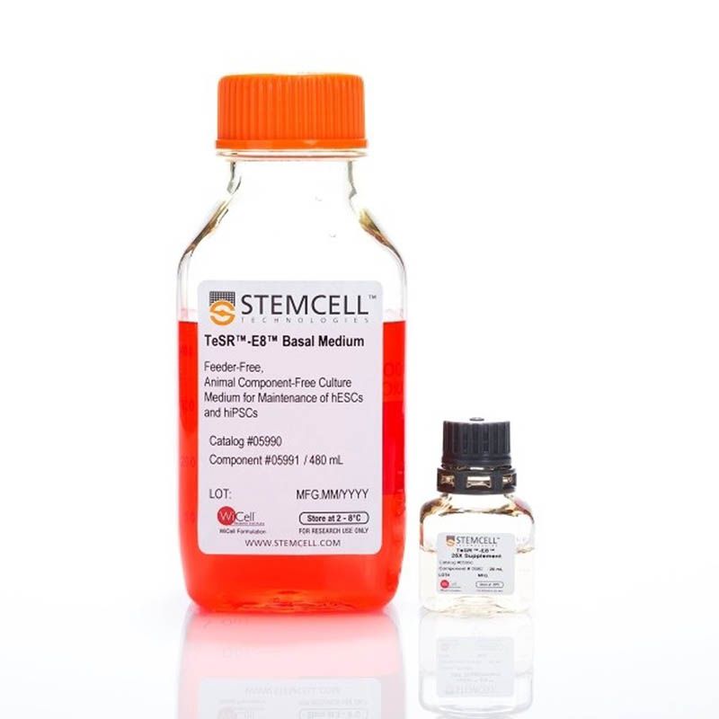 STEMCELL Technologies 05990 TeSR-E8 Complete Kit/人胚胎干细胞E8培养基