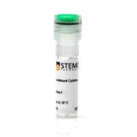 STEMCELL Technologies78036Human Recombinant IL-2 (CHO表达)