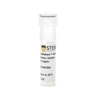 STEMCELL Technologies 07004 CellAdhere™ Vitronectin, Human, Solution/CellAdhere™人玻连蛋白（Vitronectin），溶液