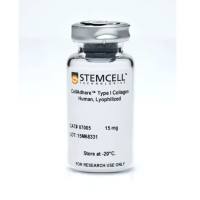 STEMCELL Technologies 07005 CellAdhere™ Type I Collagen, Human, Lyophilized/CellAdhere™ I型人胶原蛋白,冻干粉