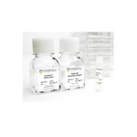 STEMCELL Technologies 07191 Vitronectin XF™ Kit with ReLeSR™/含ReLeSR™的Vitronectin XF™试剂盒
