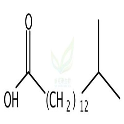 14-甲基十五烷酸  CAS号：4669-02-7