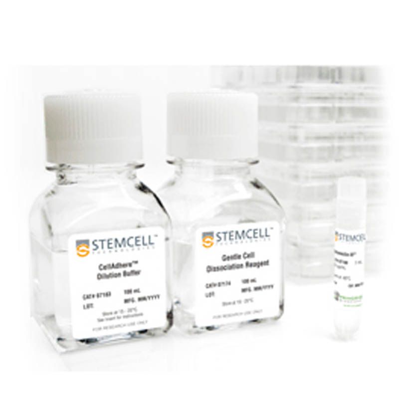 STEMCELL Technologies 07180 Vitronectin XF™/胚胎干细胞培养贴壁基质