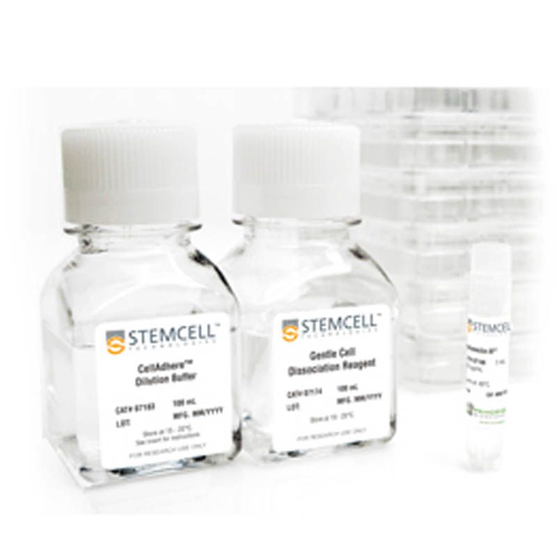 STEMCELL Technologies 07190 Vitronectin XF™/细胞贴壁基质试剂盒
