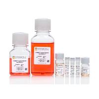 STEMCELL Technologies 08571 STEMdiff™ Cerebral Organoid Kit/STEMdiff™ 脑类器官成熟试剂盒