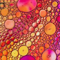 蛋白相分离系列技术服务：相分离形成能力预测与鉴定、相分离功能验证