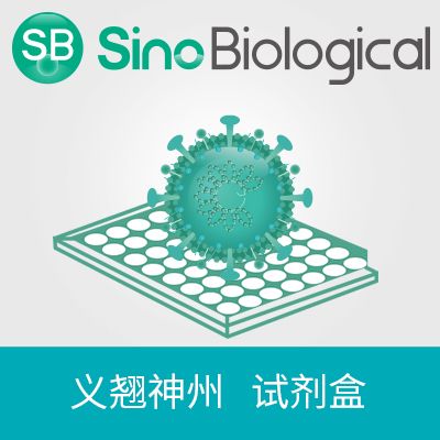 新冠病毒 Omicron (XBB.1.5) variant Spike RBD 酶联免疫试剂盒