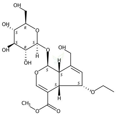 6-乙氧基京尼平苷  CAS号：1264496-61-8