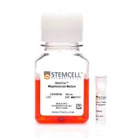 STEMCELL Technologies 09707 HemaTox™ Megakaryocyte Kit/HemaTox™ 巨核分化试剂盒