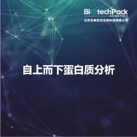 自上而下蛋白质分析