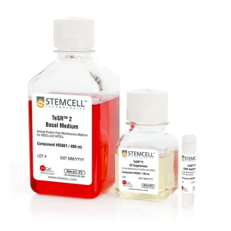 STEMCELL Technologies05860TeSR™2 /人胚胎干细胞、iPS细胞培养基