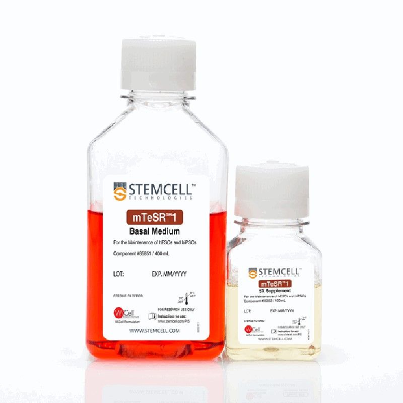 STEMCELL Technologies85850mTeSR™1/mTeSR™1多能干细胞培养基