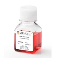 STEMCELL Technologies09300 10% Bovine Serum Albumin in Iscove's MDM