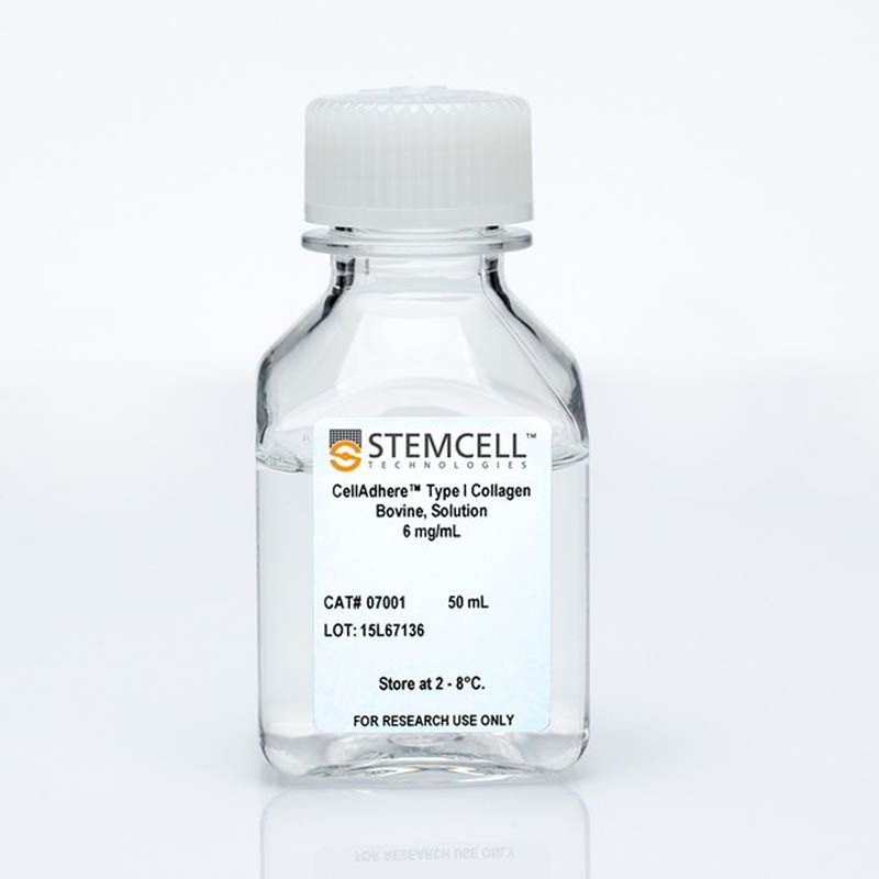 STEMCELL Technologies07001 CellAdhere™ Type I Collagen, Bovine, Solution/CellAdhere™ I型胶原蛋白，牛血清溶液