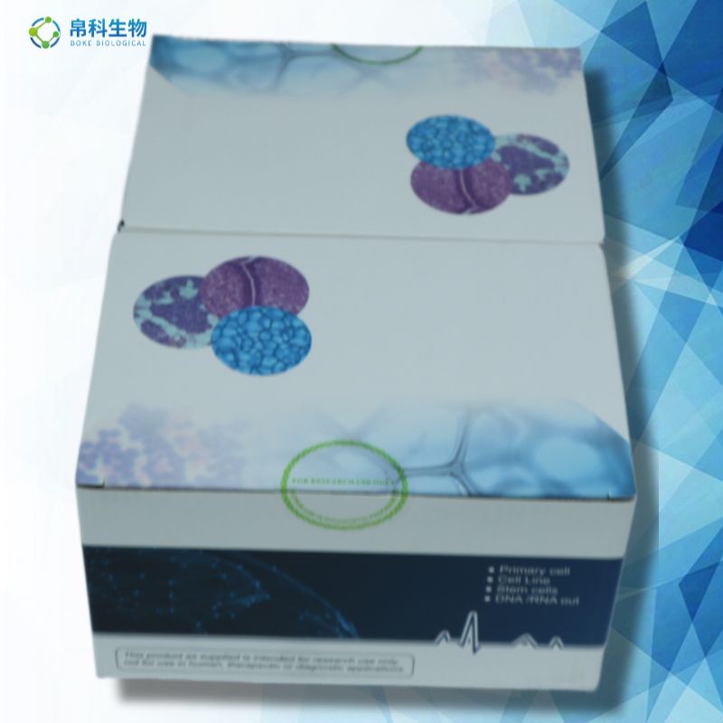 Bcl-2 小鼠B细胞淋巴瘤因子2ELISA检测试剂盒