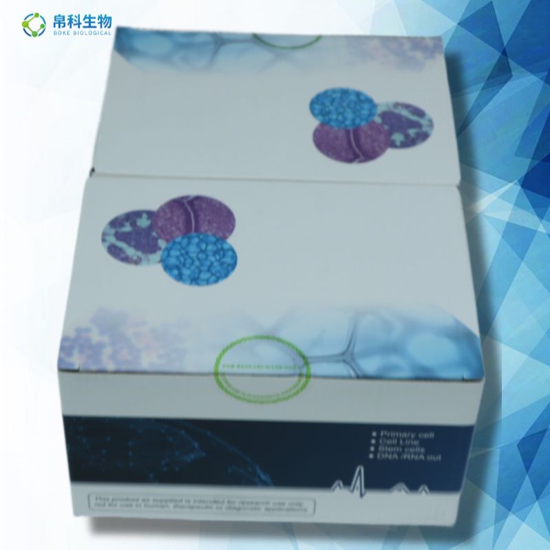Ang-Ⅰ 小鼠血管紧张素ⅠELISA检测试剂盒