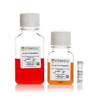STEMCELL Technologies 08000 EC-Cult™-XF Culture Kit/EC-Cult™-XF培养试剂盒