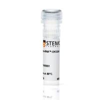 STEMCELL Technologies05931 ReproRNA™-OKSGM