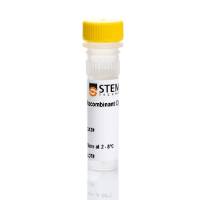 STEMCELL Technologies78131 Human Recombinant TGF-beta 3