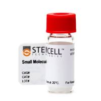 STEMCELL Technologies72052CHIR99021