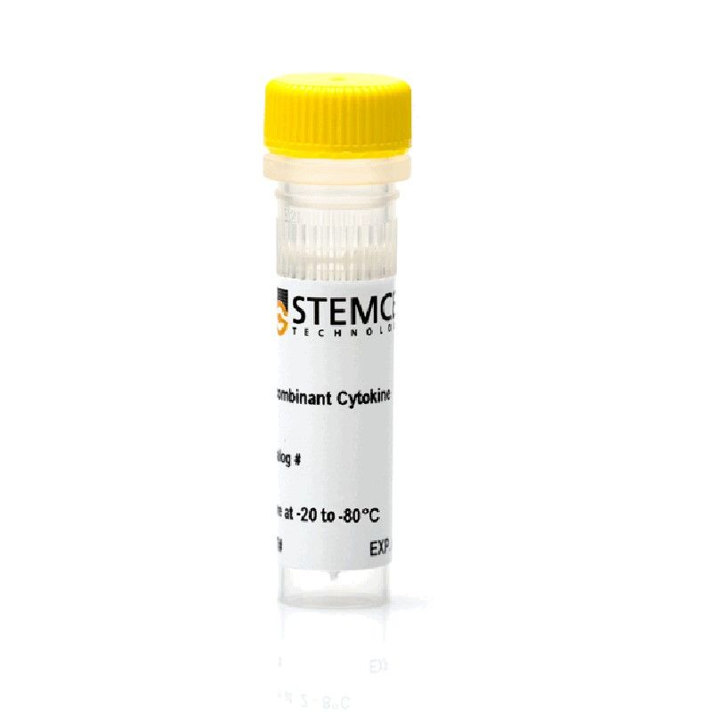 STEMCELL Technologies 78005 Human Recombinant BDNF/人重组BDNF