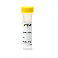 STEMCELL Technologies 78005 Human Recombinant BDNF/人重组BDNF