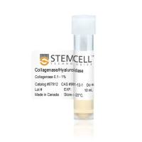 STEMCELL Technologies07912 Collagenase/Hyaluronidase/胶原酶/透明质酸