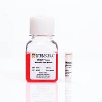 STEMCELL Technologies 08605 STEMdiff™ Forebrain Neuron Maturation Kit/STEMdiff™前脑神经元成熟试剂盒