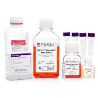 STEMCELL Technologies05924Erythroid Progenitor Reprogramming Kit/红系祖细胞重编程培养试剂盒