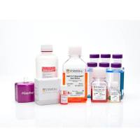 STEMCELL Technologies05925CD34+ Progenitor Reprogramming Kit/CD34+祖细胞重编程